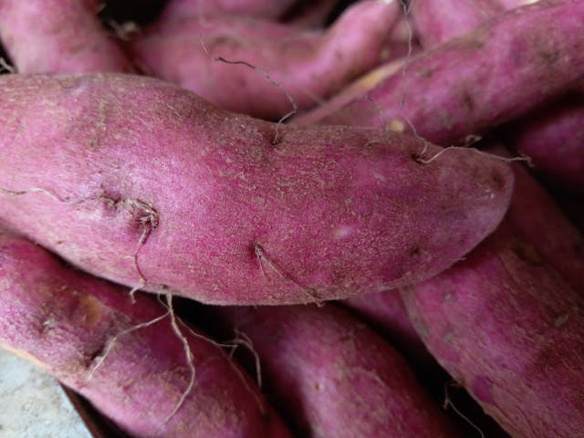 The Purple Powerhouse: Why Ube is Taking the Health World by Storm