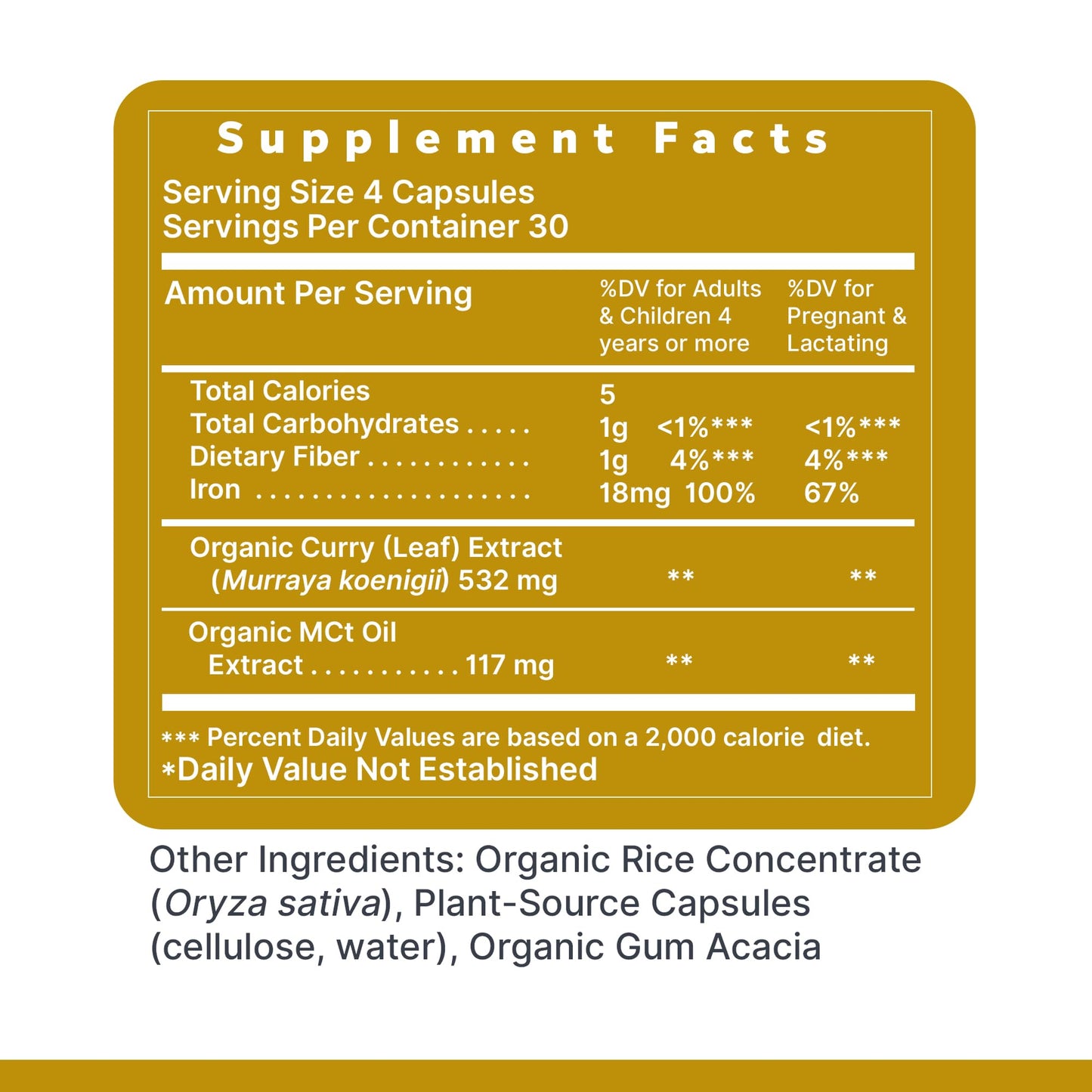 Phyto-Iron Premier Plant-Based Iron — 18 mg, 120 Capsules
