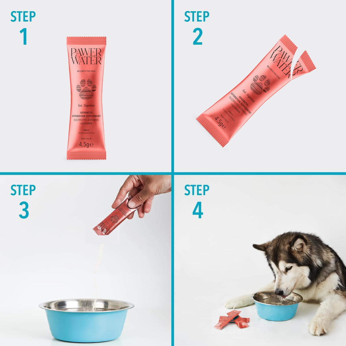 Pawer Water Gut Support (5-sticks Pouch) Pawer Water