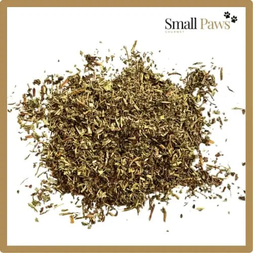 Dandelion Leaf Small Paws Gourmet