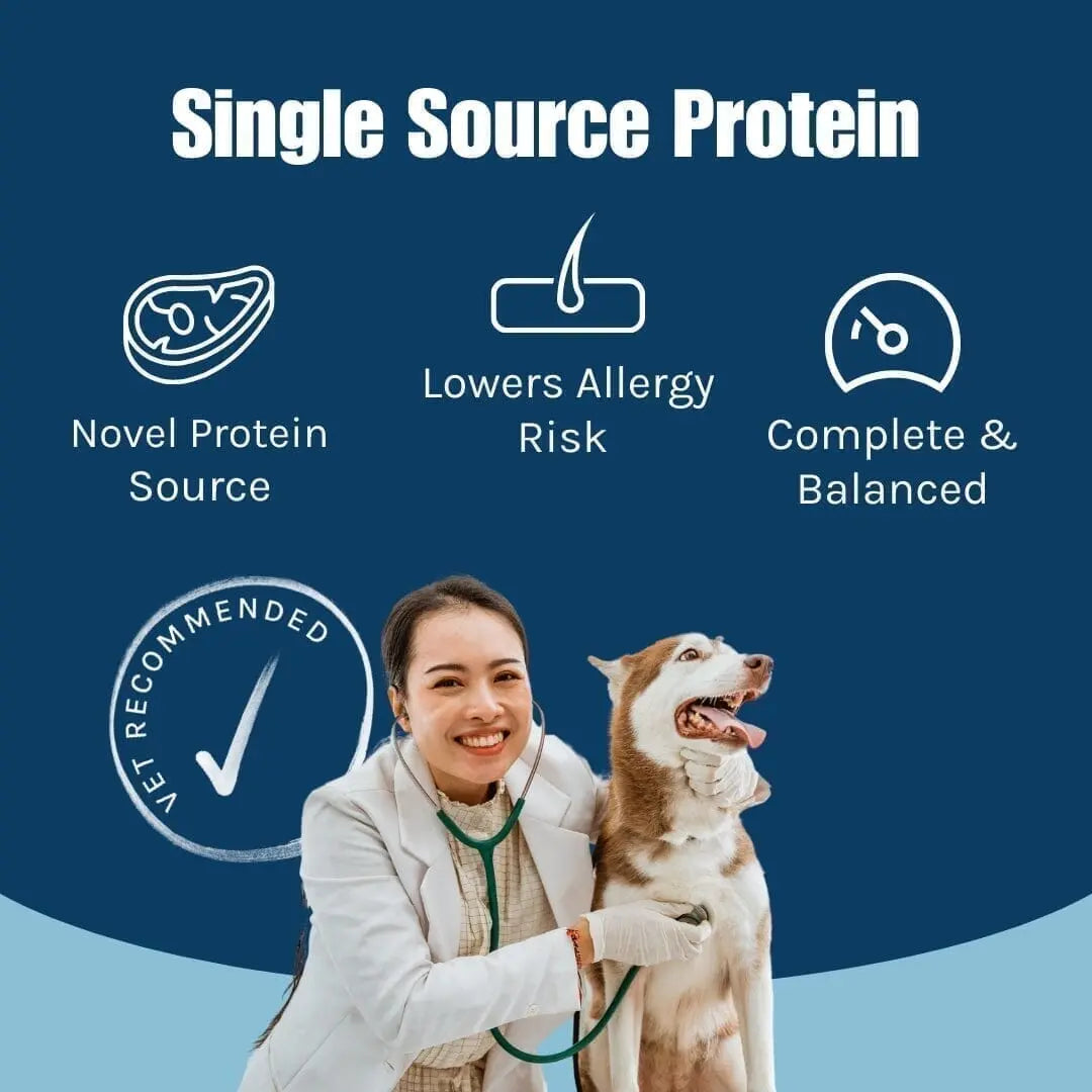 Pure Turkey Wet Dog Food (Texas) Happy Dog UK