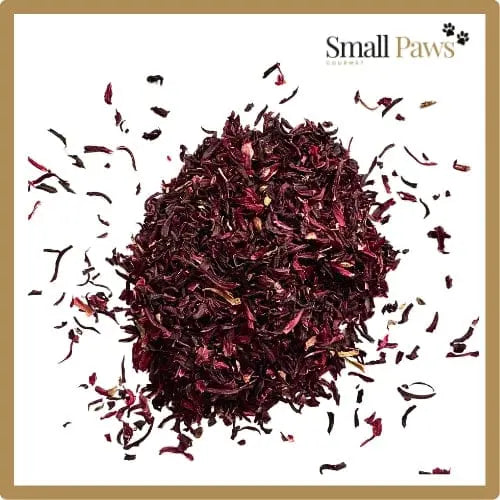Hibiscus Small Paws Gourmet