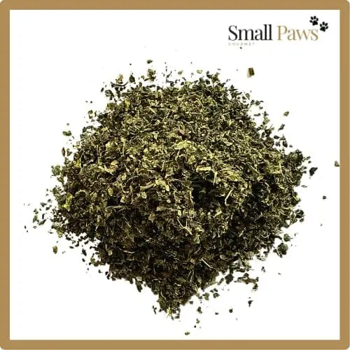 Nettle Small Paws Gourmet