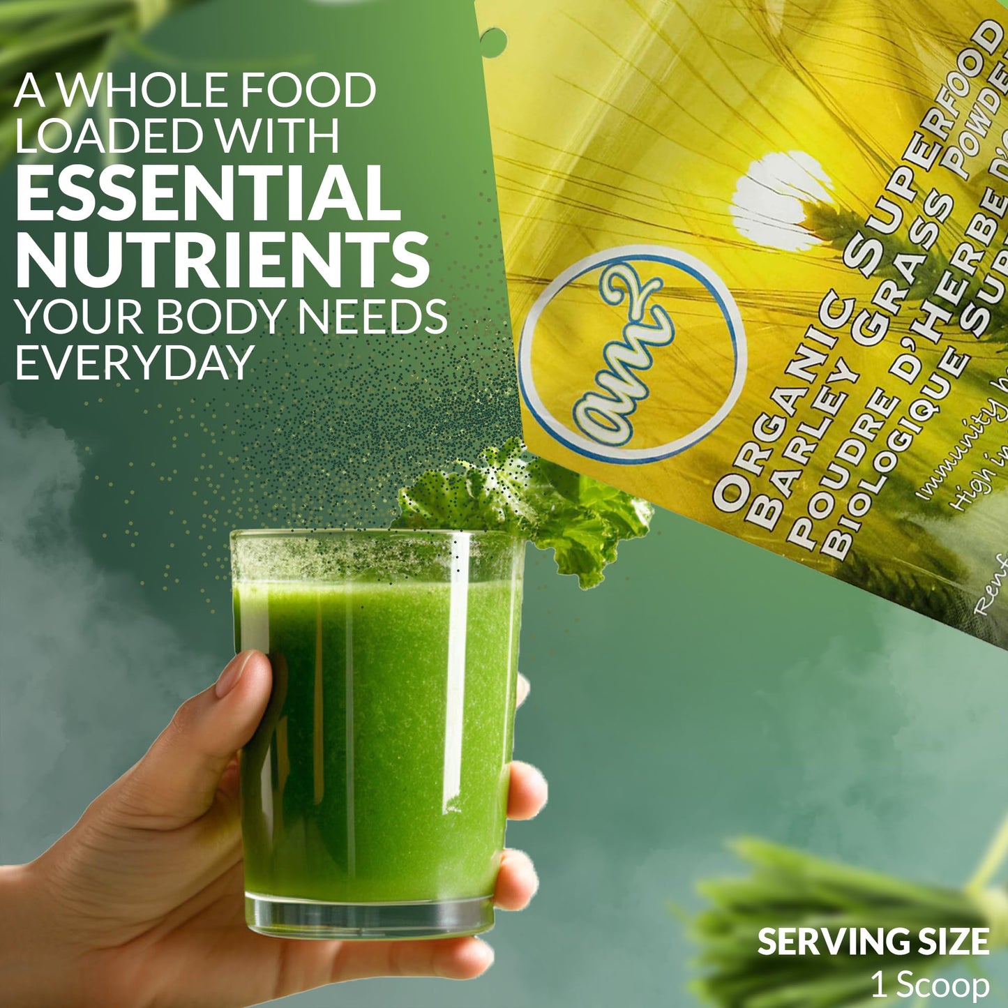 am2 Organic Barley Grass Powder – 125g (62 Servings) | Antioxidants, Immunity & Digestive Health