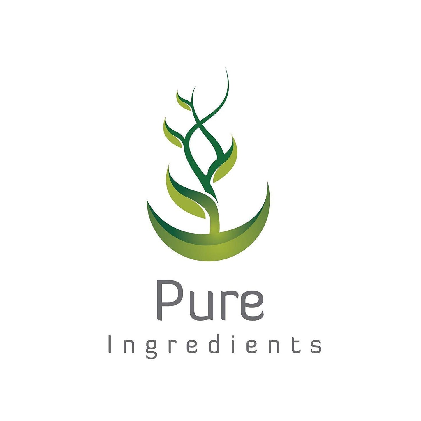 PURE ORIGINAL INGREDIENTS Artichoke Extract (100 Capsules) Pack of 2 | No Additives or Fillers | Lab Verified