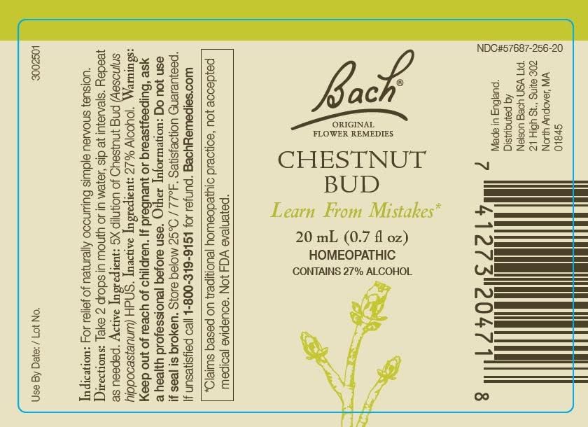Bach Original Flower Remedies 2-Pack, Break a Habit – Chestnut Bud & Walnut (Vegan, 20mL Dropper x2)