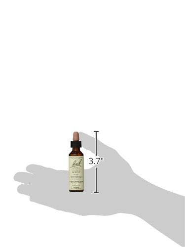 Bach Beech Be More Tolerant - 20mL Flower Remedy | Emotional Balance