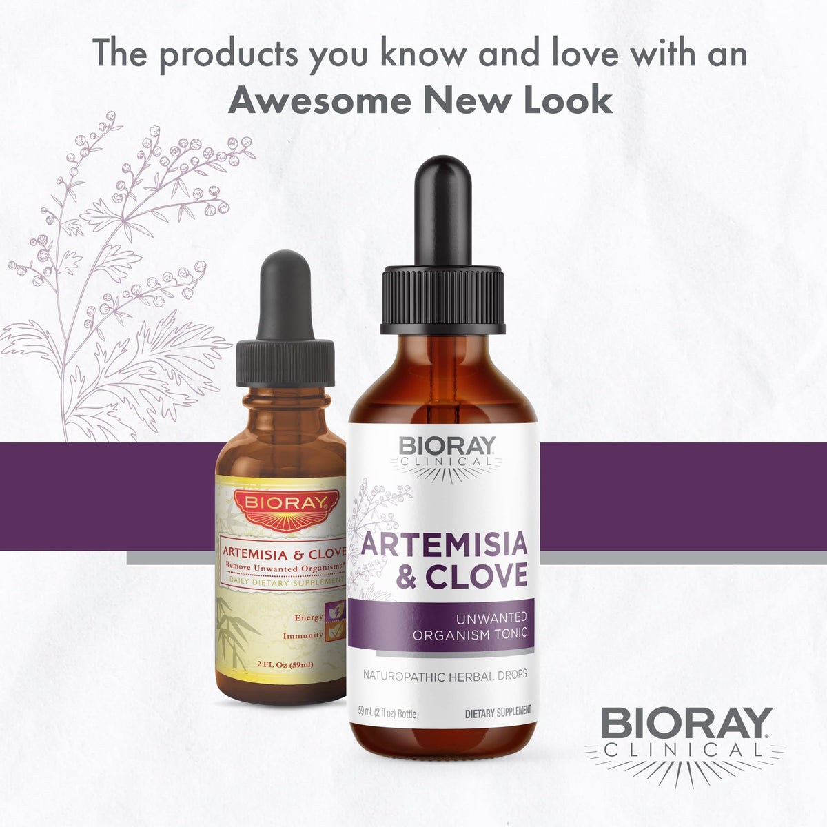 BIORAY Artemisia & Clove - 2 oz | Unwanted Organism Removal BritishVita | Premium UK Vitamins & Wellness Supplements