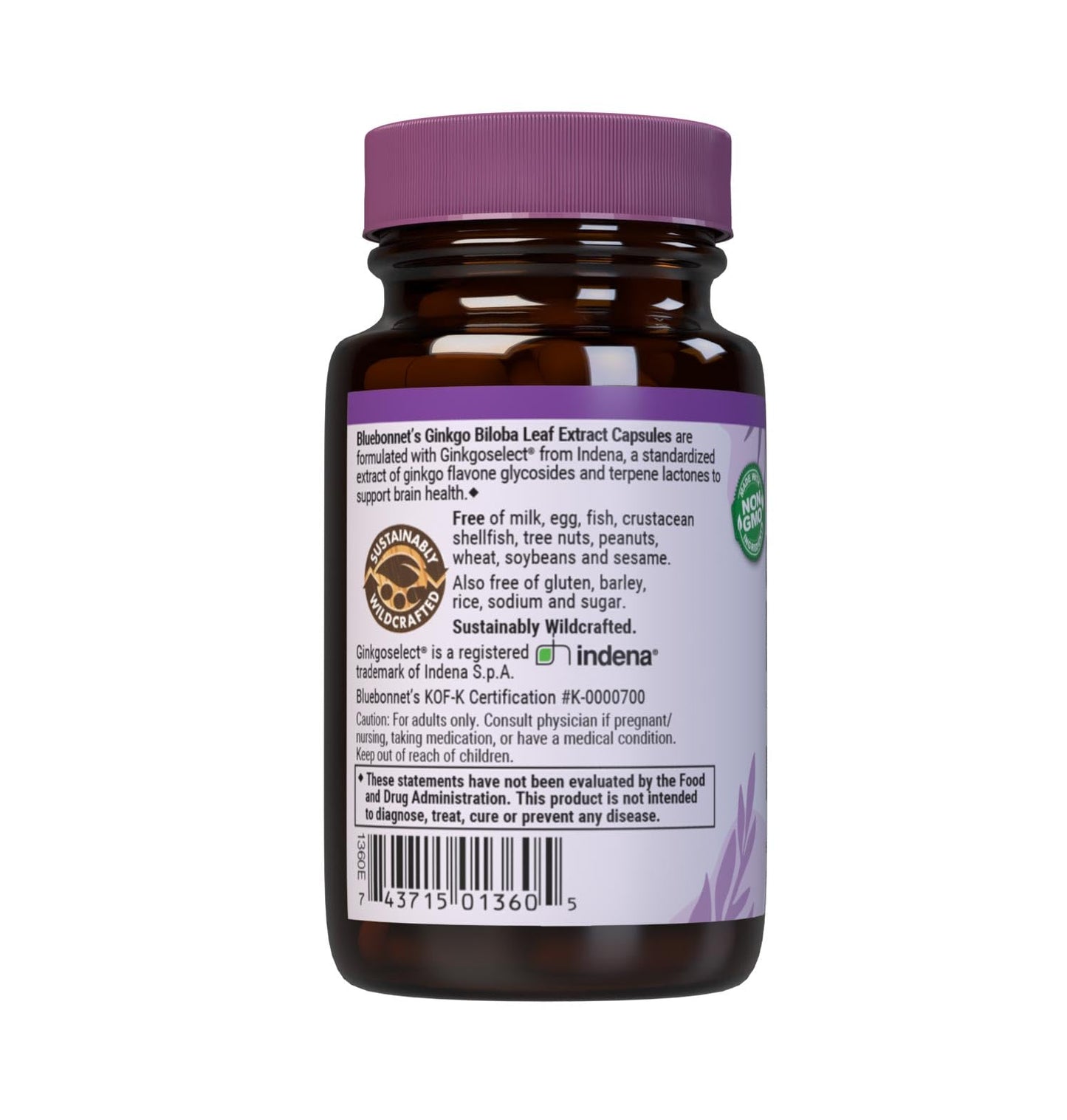BlueBonnet Ginkgo Biloba Leaf Extract Supplement – 30 Veggie Capsules
