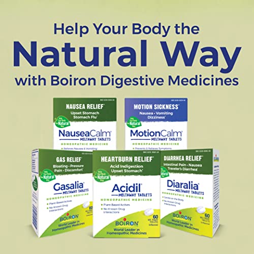 Boiron Acidil On the Go – Travel-Ready Heartburn & Indigestion Relief Pellets (160 Pellets, 2 Count)