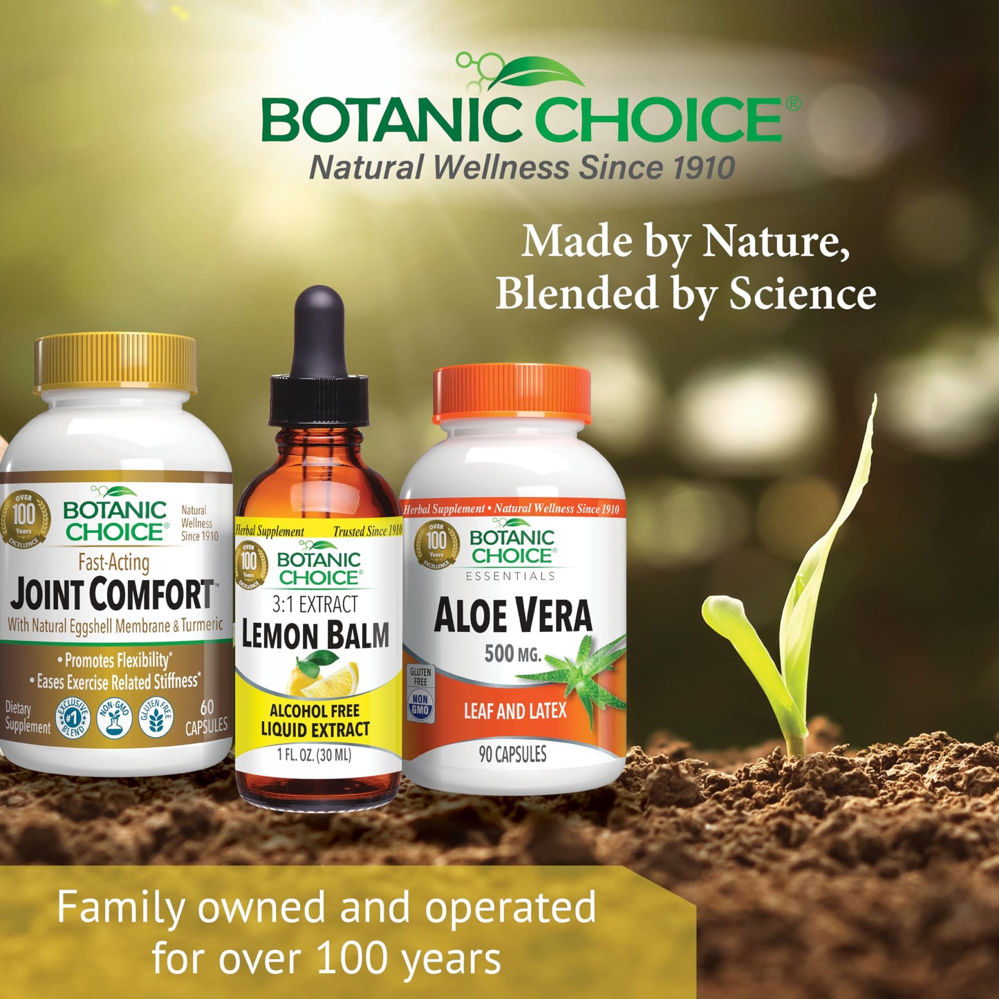 Botanic Choice Lemon Balm Liquid Extract - Alcohol Free & Gluten Free | 1 oz