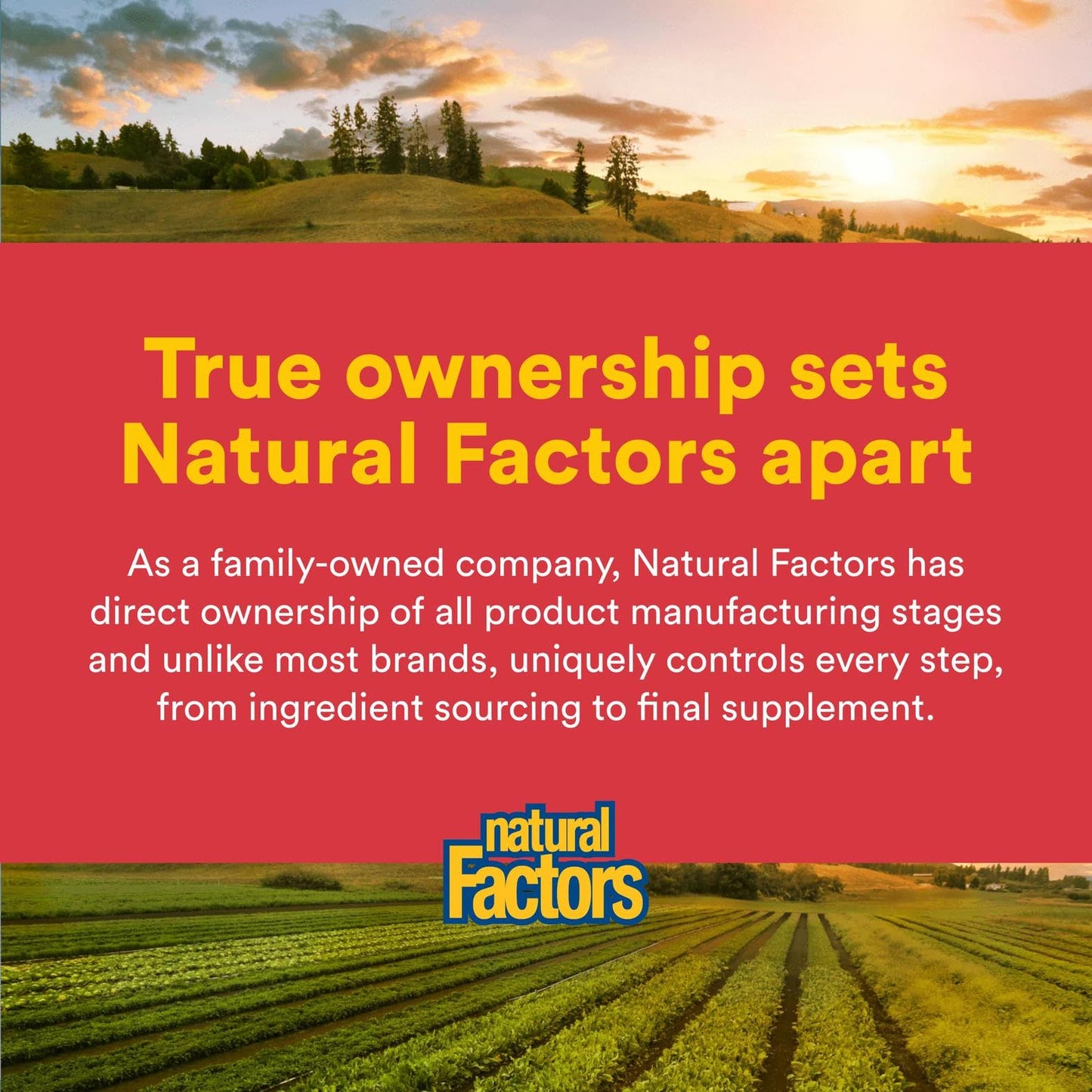 Natural Factors Citrus Bioflavonoids 650mg - Support for the Body's Use of Vitamin C - 90 Capsules