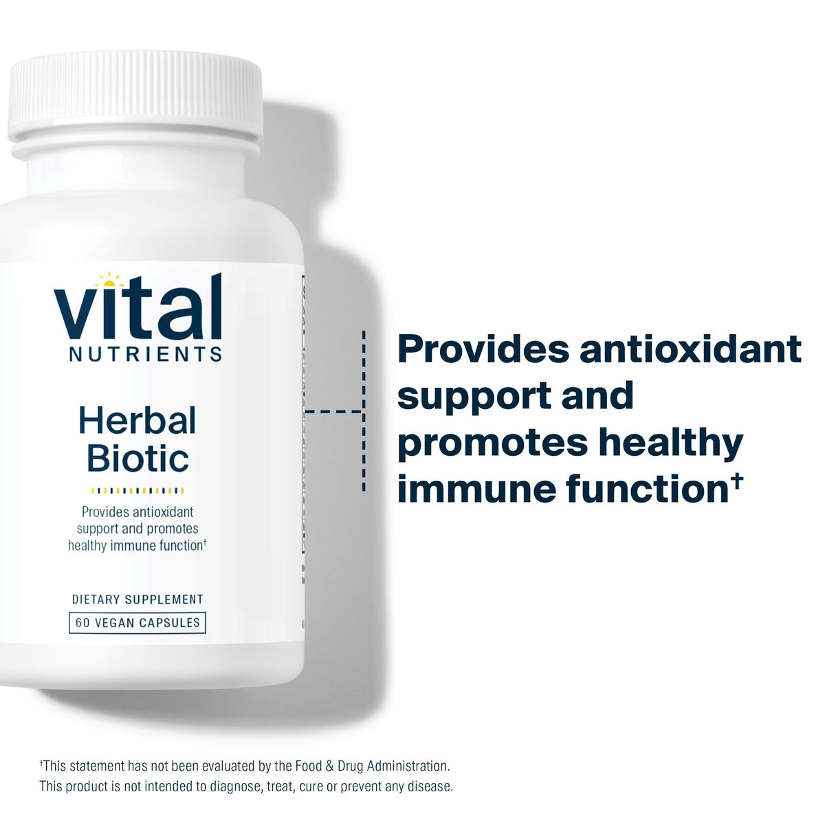 Vital Nutrients Herbal Biotic — Immune Support Supplement | 60 Capsules BritishVita | Premium UK Vitamins & Wellness Supplements