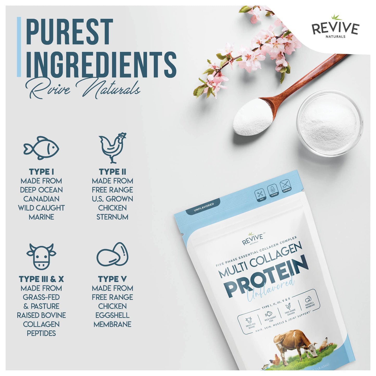 Multi Collagen Protein Powder (16oz) - Five Types I-X | Grass-Fed Bovine, Marine, Chicken & Eggshell