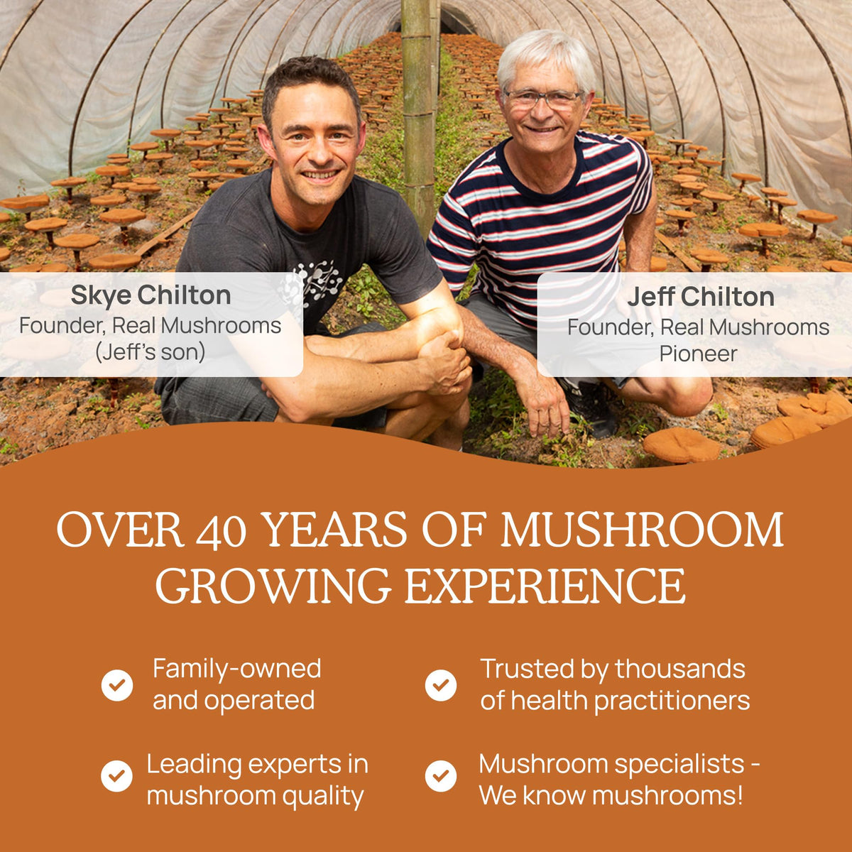 Cordyceps Capsules | Real Mushrooms 8% Beta-Glucans | Vegan & Non-GMO | 120 ct BritishVita | Premium UK Vitamins & Wellness Supplements