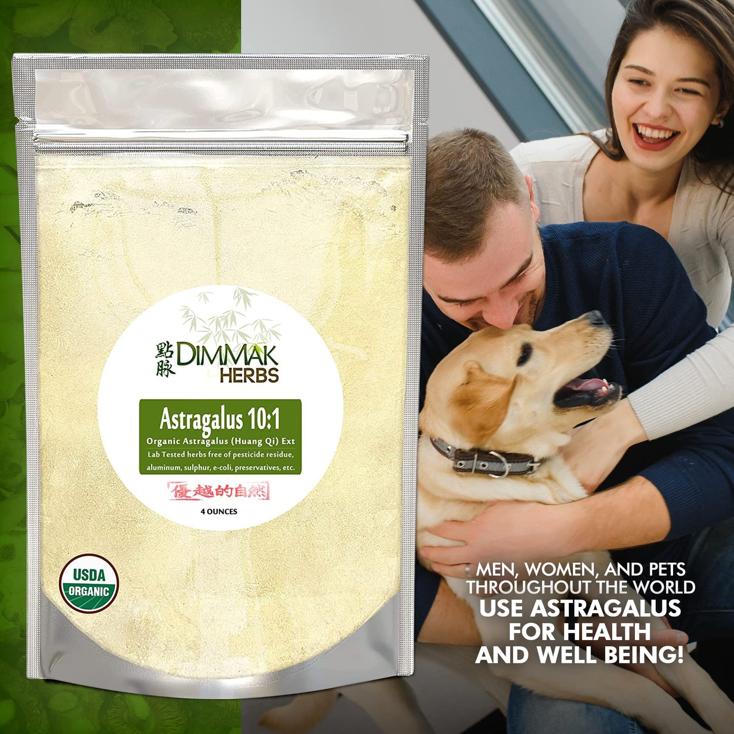 Dimmak Organic Astragalus 10:1 Extract Powder – Huang Qi 4oz (112g) | USDA Organic