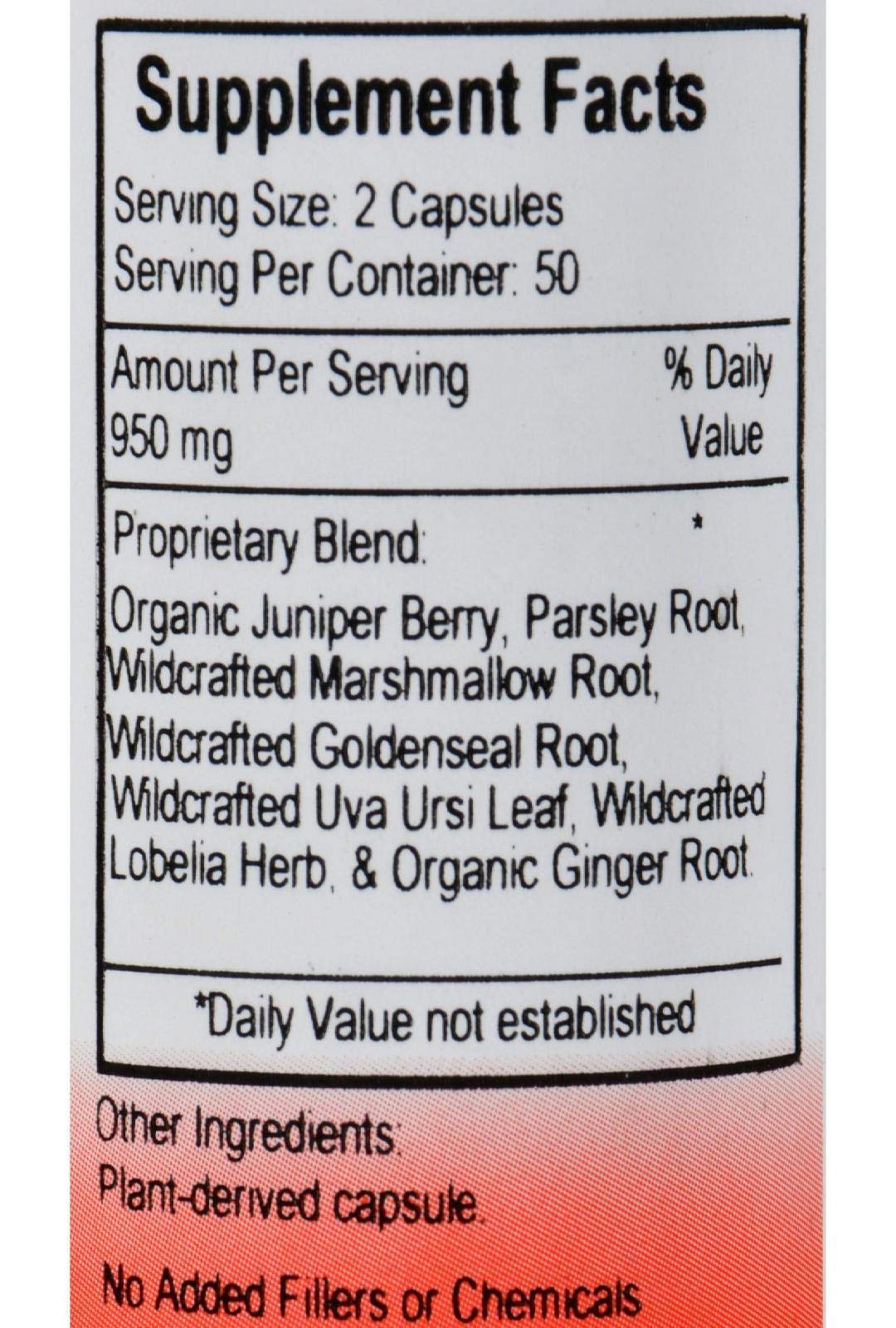 Dr. Christopher's Kidney Formula - 100 Caps | Kidney Support Supplement BritishVita | Premium UK Vitamins & Wellness Supplements