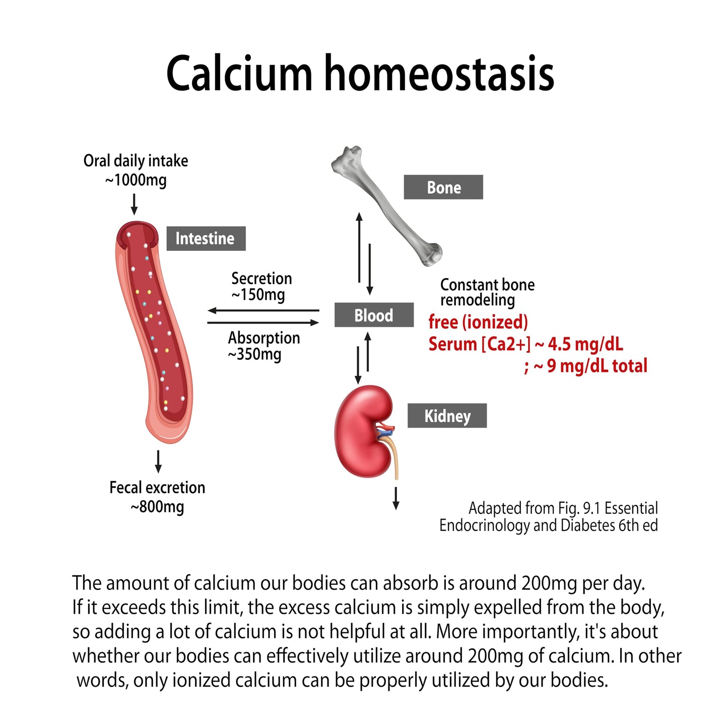 Dr. G's Ionized Cal Mag Powder – 60 Sticks, 2:1 Calcium:Magnesium