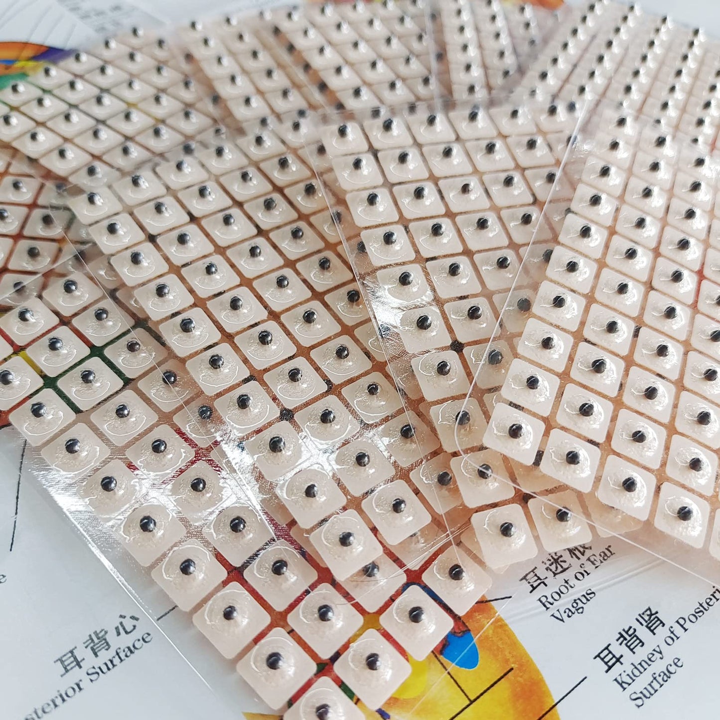 Ear Seeds Acupuncture Kit – 600 Pcs with Ear Points Chart & Tweezers