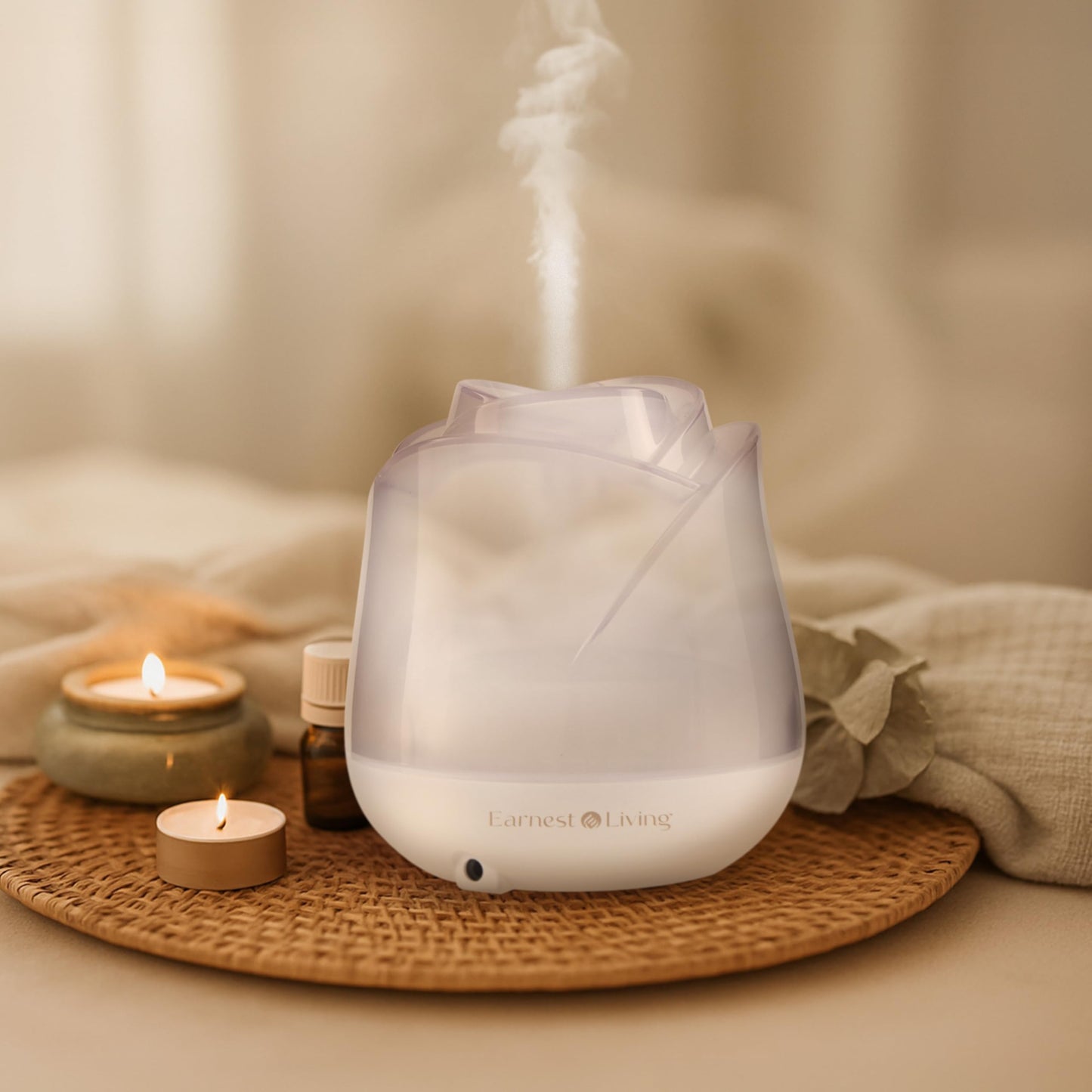 Earnest Living Rose Essential Oil Diffuser 150ml – USB Ultrasonic Humidifier, Frosted White