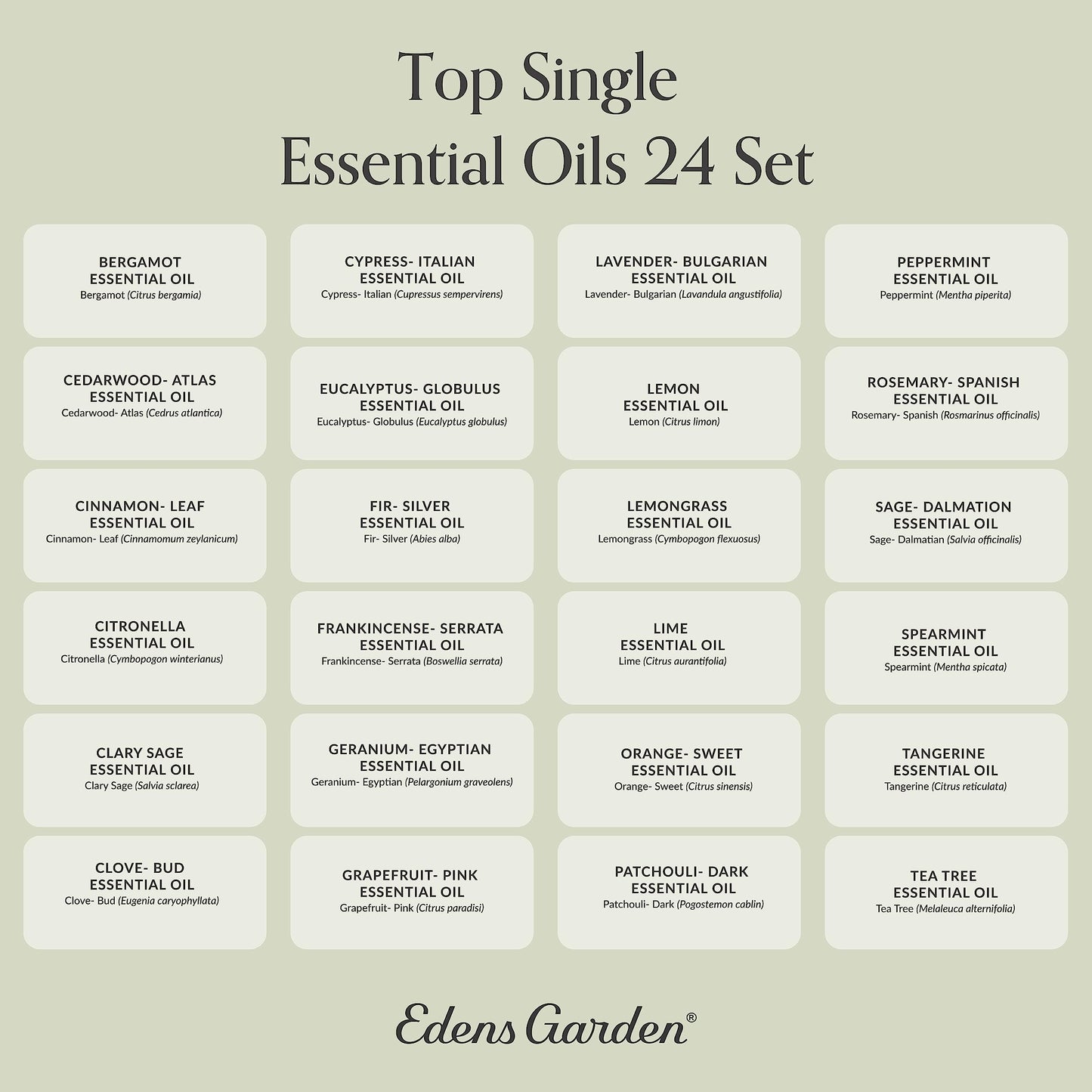 Edens Garden Essential Oils Top 24 Set – 24 x 10 ml, 100% Pure Therapeutic Grade