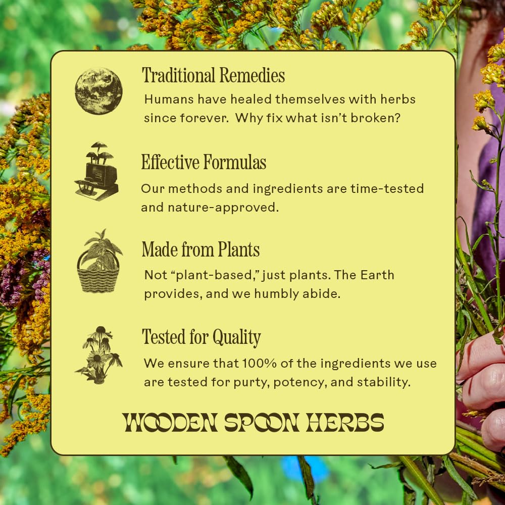 Wooden Spoon Herbs Elderberry Syrup – USDA Organic Lung & Immune Support | 8 fl oz BritishVita | Premium UK Vitamins & Wellness Supplements