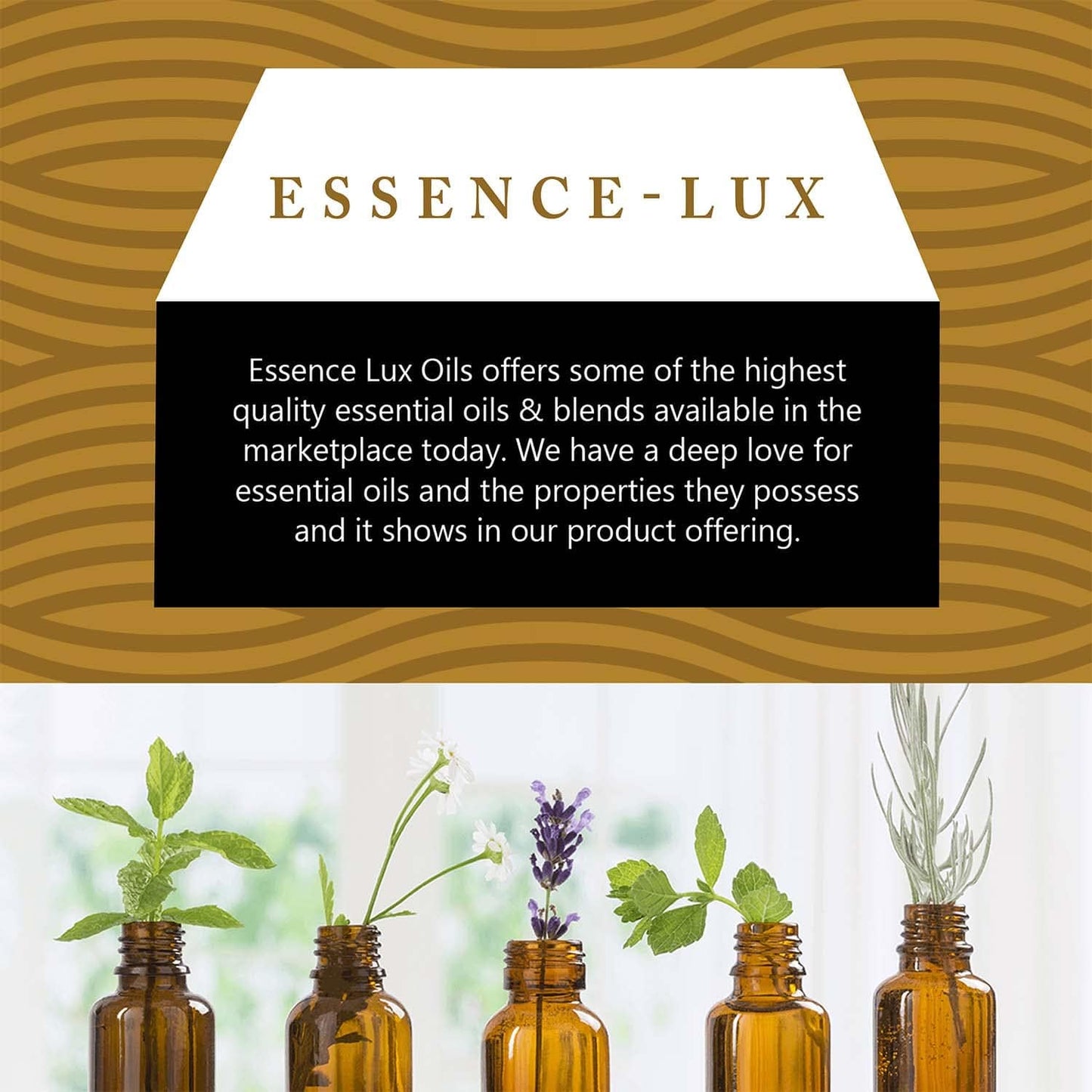 Essence-Lux 10ml Sandalwood Essential Oil - 0.33 fl oz | Calming Aromatherapy