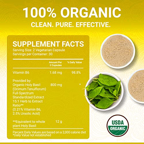 Holy Basil Capsules - USDA Organic Vitamin B6 | High Strength Tulsi 15:1 Extract | 60 Vegan Pills