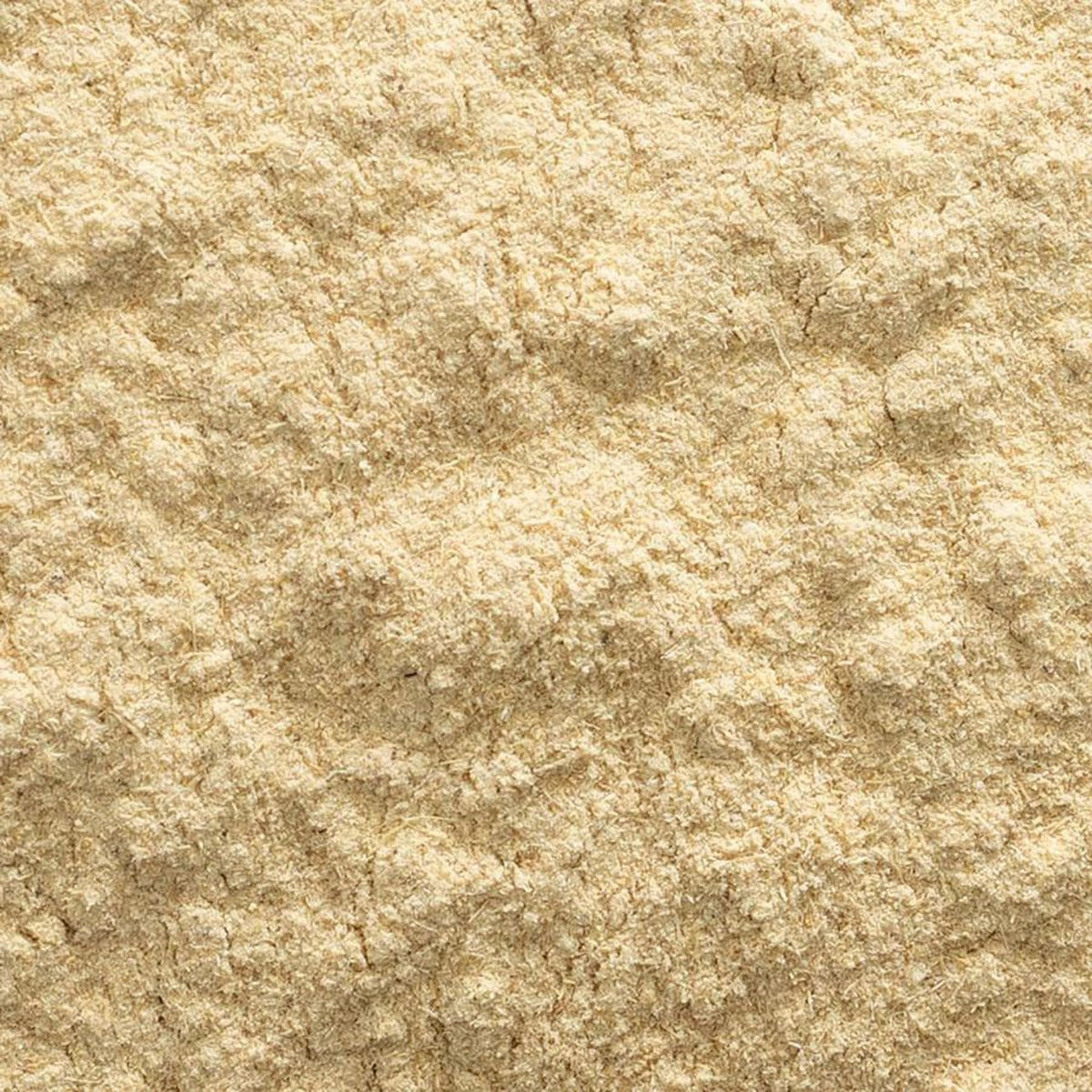 Frontier Co-op Organic Astragalus Root Powder 1lb | Certified Organic BritishVita | Premium UK Vitamins & Wellness Supplements