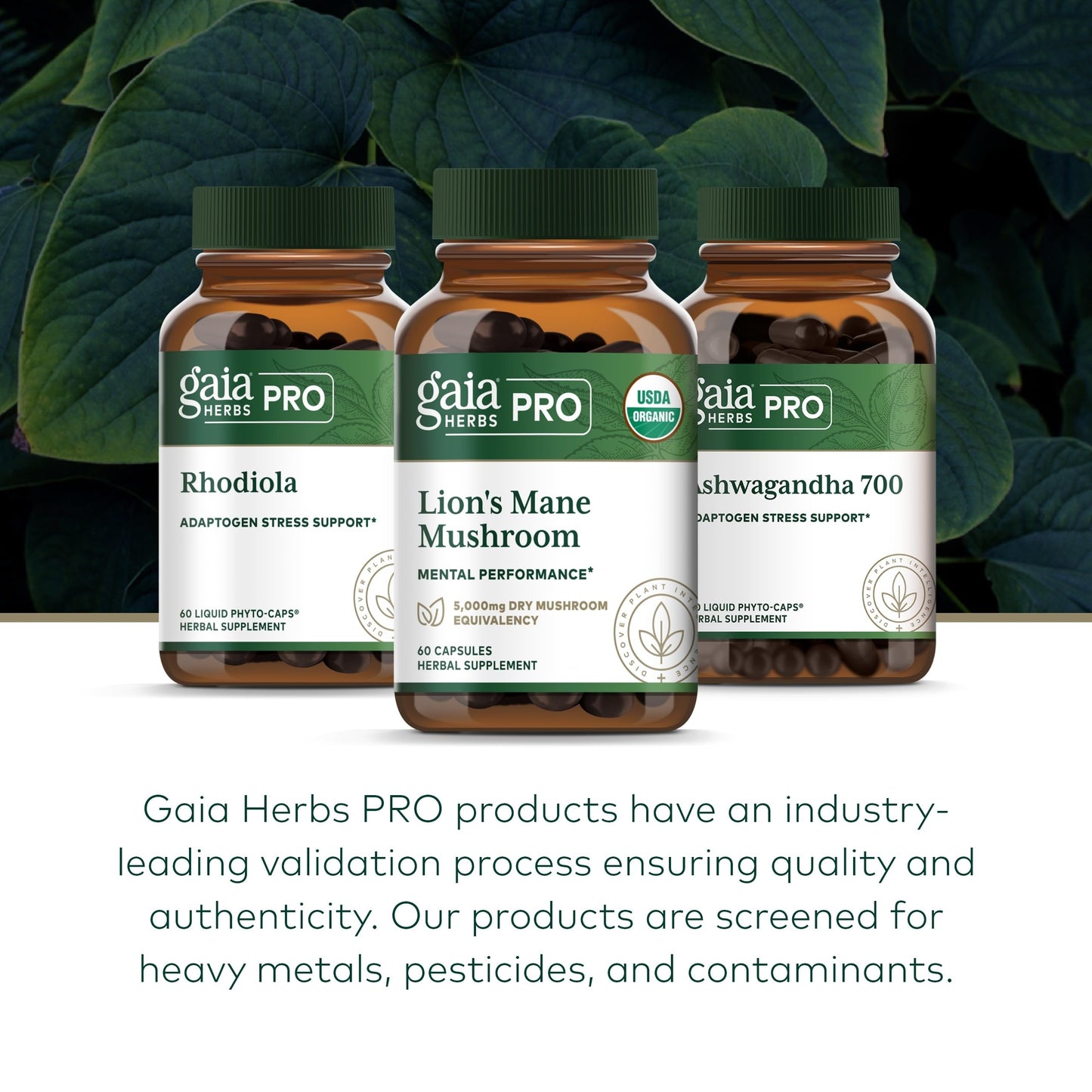 Gaia Herbs PRO Lions Mane Mushroom - Brain Health, 2,500mg/Serving, 60 Capsules, Organic