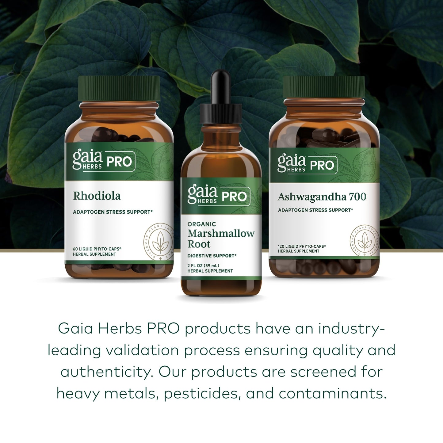 GAIA HERBS PRO Organic Marshmallow Root - Digestive Health Support Supplement* - GI Health Supplement* with Organic Marshmallow Root Extract - 2 fl oz (35 Servings)