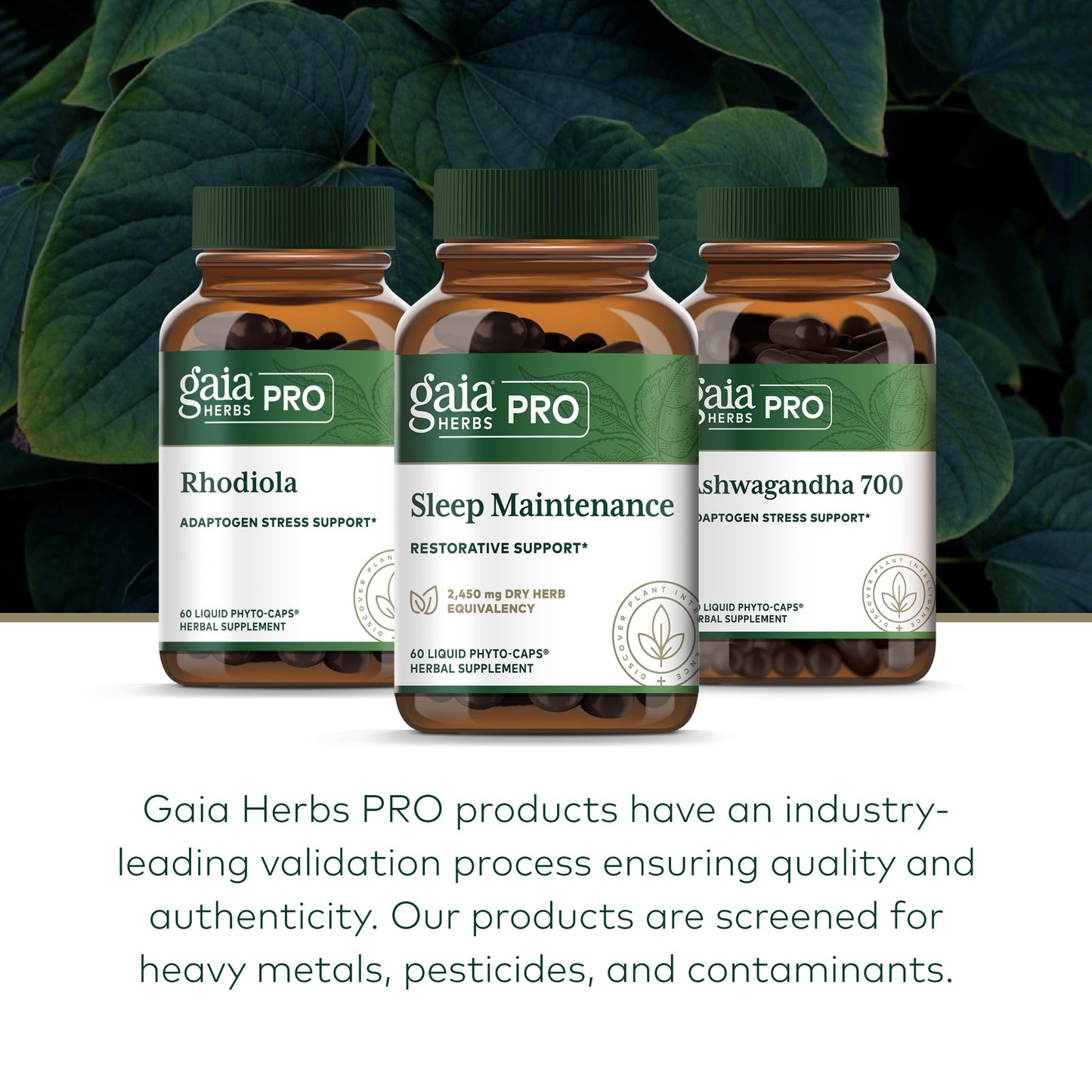 Gaia Herbs PRO Sleep Maintenance | Adrenal Health & Sleep Support (60 capsules)