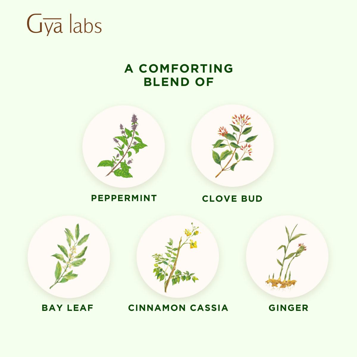 Gya Labs Muscle Relief Essential Oils Blends - 0.34 Fl Oz