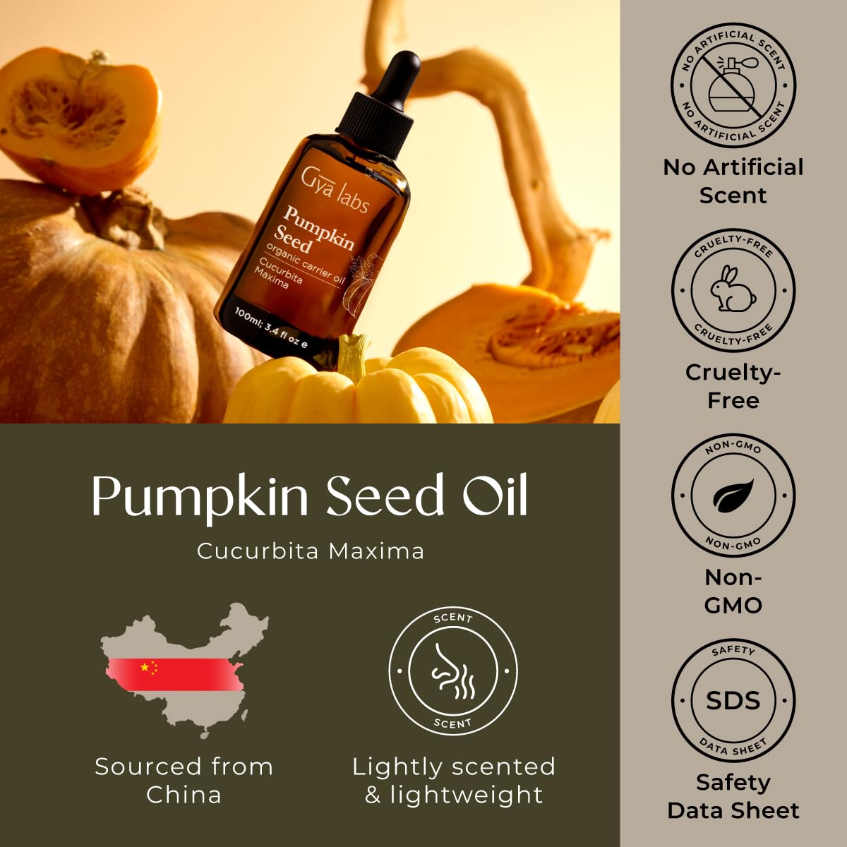 Gya Labs Pumpkin Seed Carrier Oil 3.4 oz | Hair, Skin & Scalp