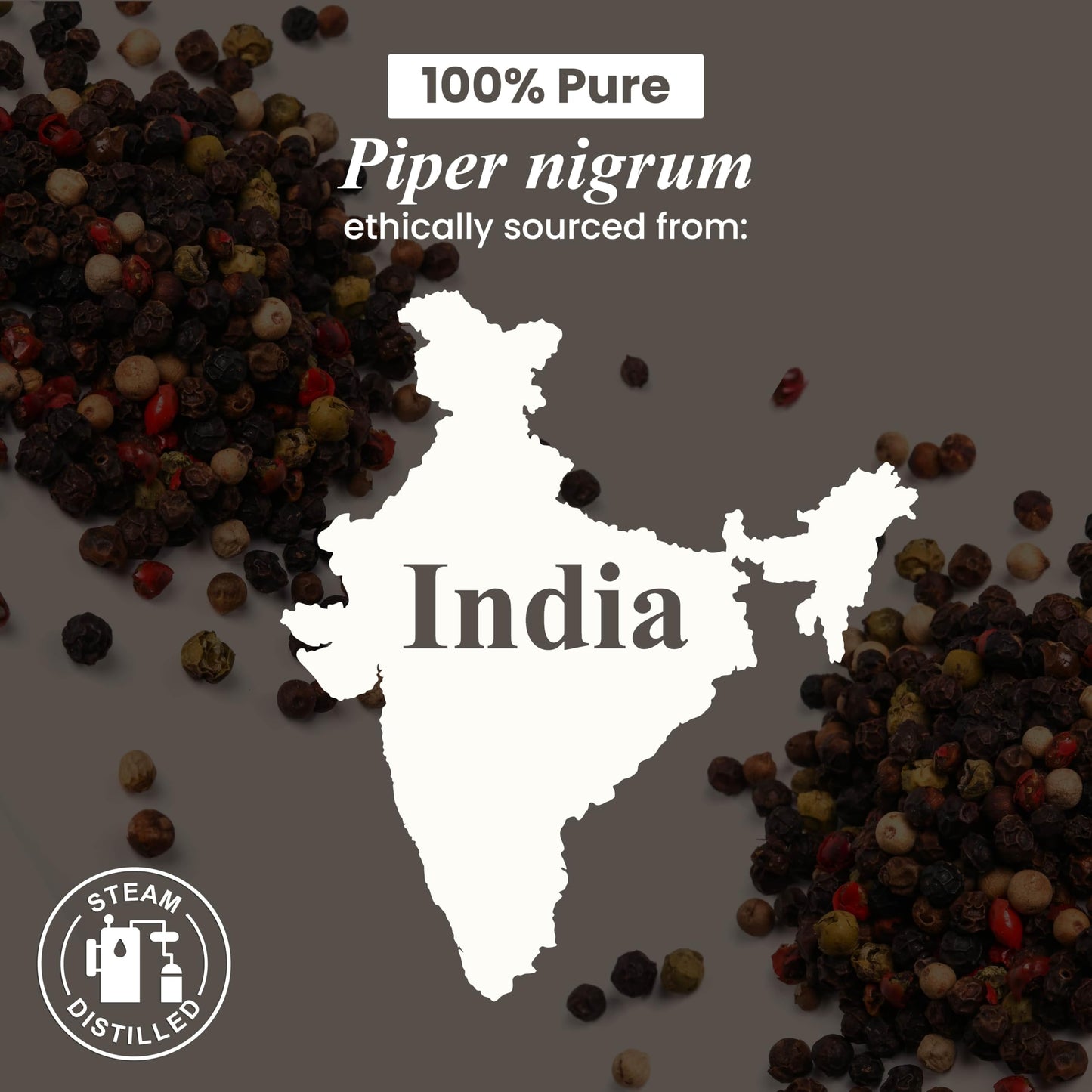 Black Pepper Essential Oil – Handcraft Blends, 1 oz | Pure & Natural