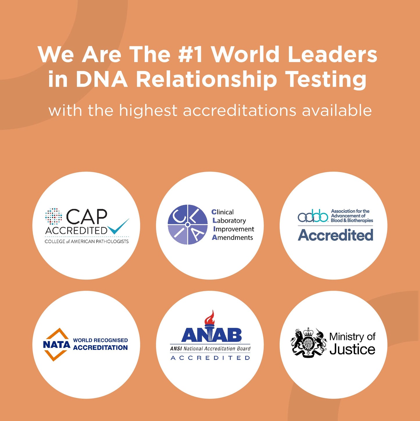 HomePaternity Aunt/Uncle DNA Test – 34 Markers, Fast Results, All Lab Fees & Shipping Included