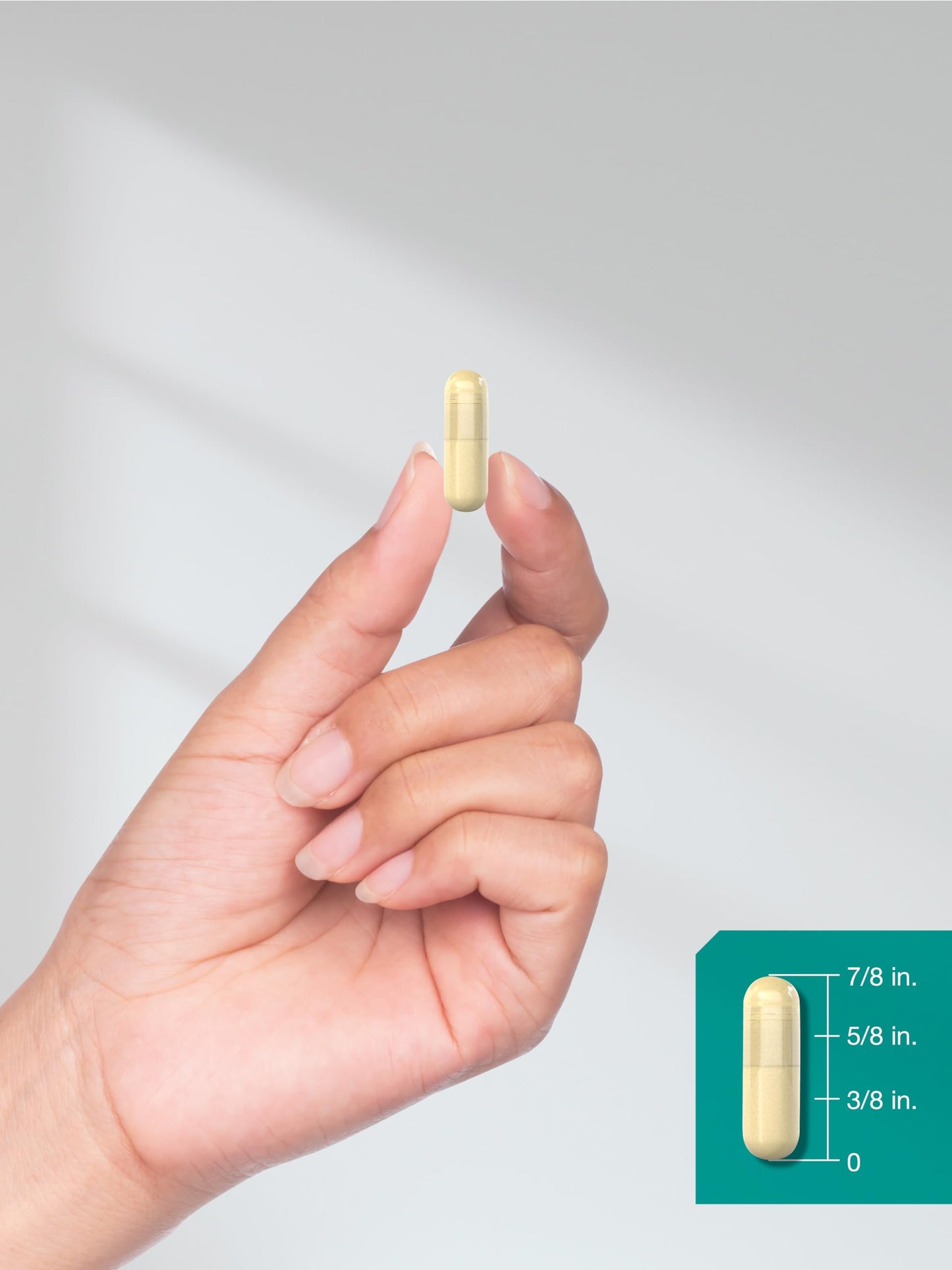 Horbäach Multi Collagen Protein 2000 mg – 180 Capsules | Hydrolyzed Collagen Types I, II, III, V, X | Keto & Paleo Friendly, Non-GMO, Gluten Free