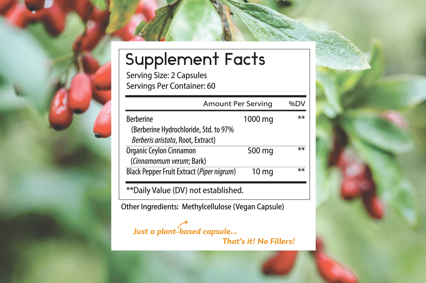 Thomas' All-Natural Berberine 500mg (1000mg per serving) - 120 Vegan Capsules