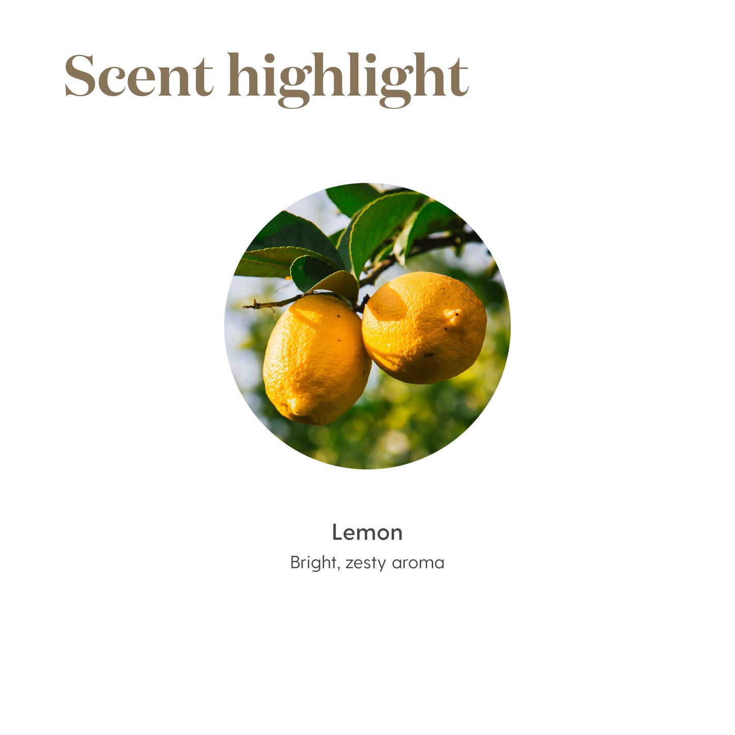 Young Living Lemon Essential Oil 15ml - Premium Skin Care & Diffuser Aroma