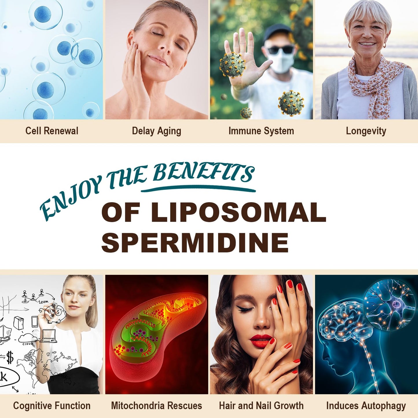 Spermidine Supplement 15 MG - 99% Purity, High Absorption, 1500 MG Fermented Wheat Germ Extract with Zinc & Thiamin, Spermidine for Men & Women - Cellular Renewal, Aging Defense, Energy, 120 Softgels