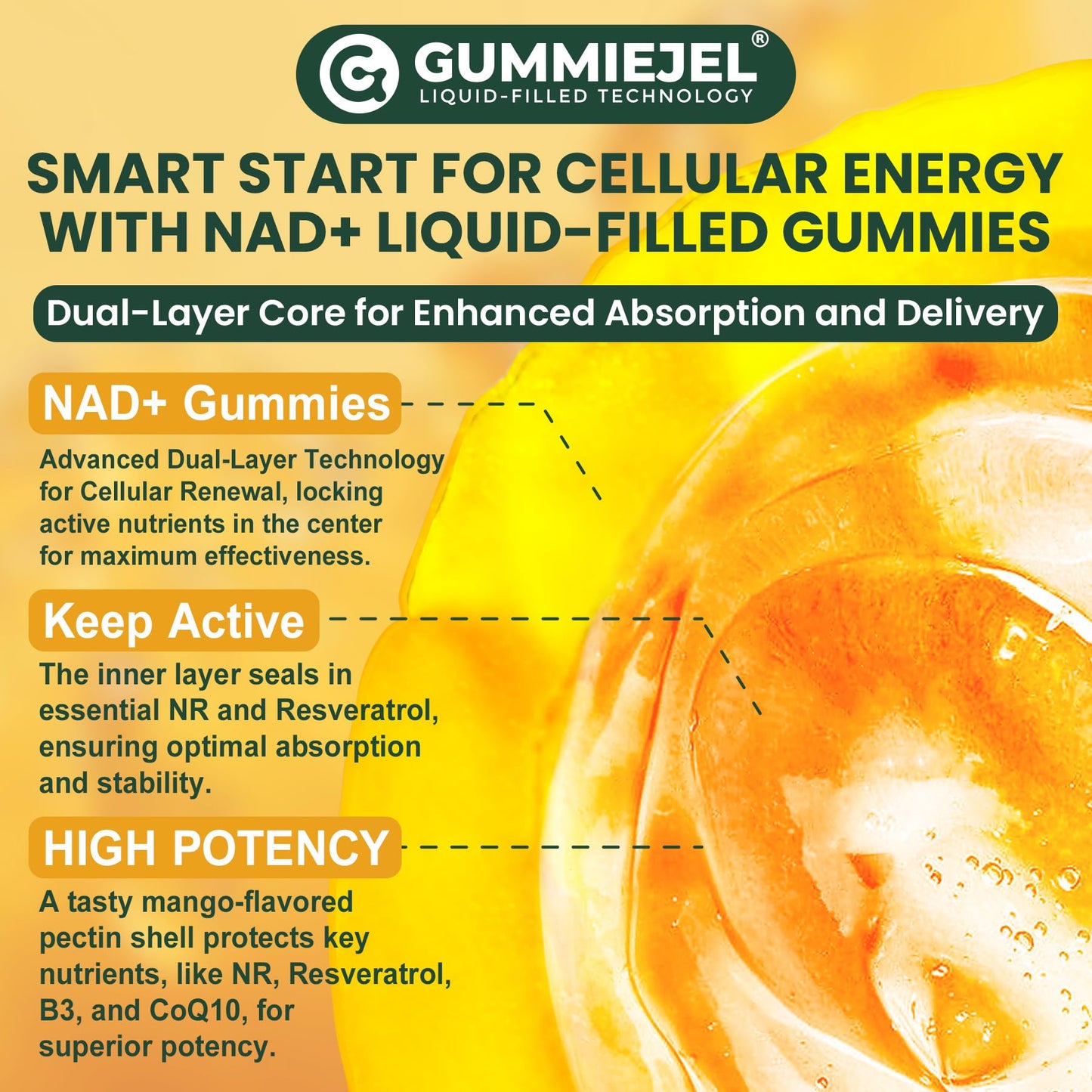 Liposomal NAD+ NR Resveratrol + CoQ10 | NMNH Anti-Aging (60 ct)
