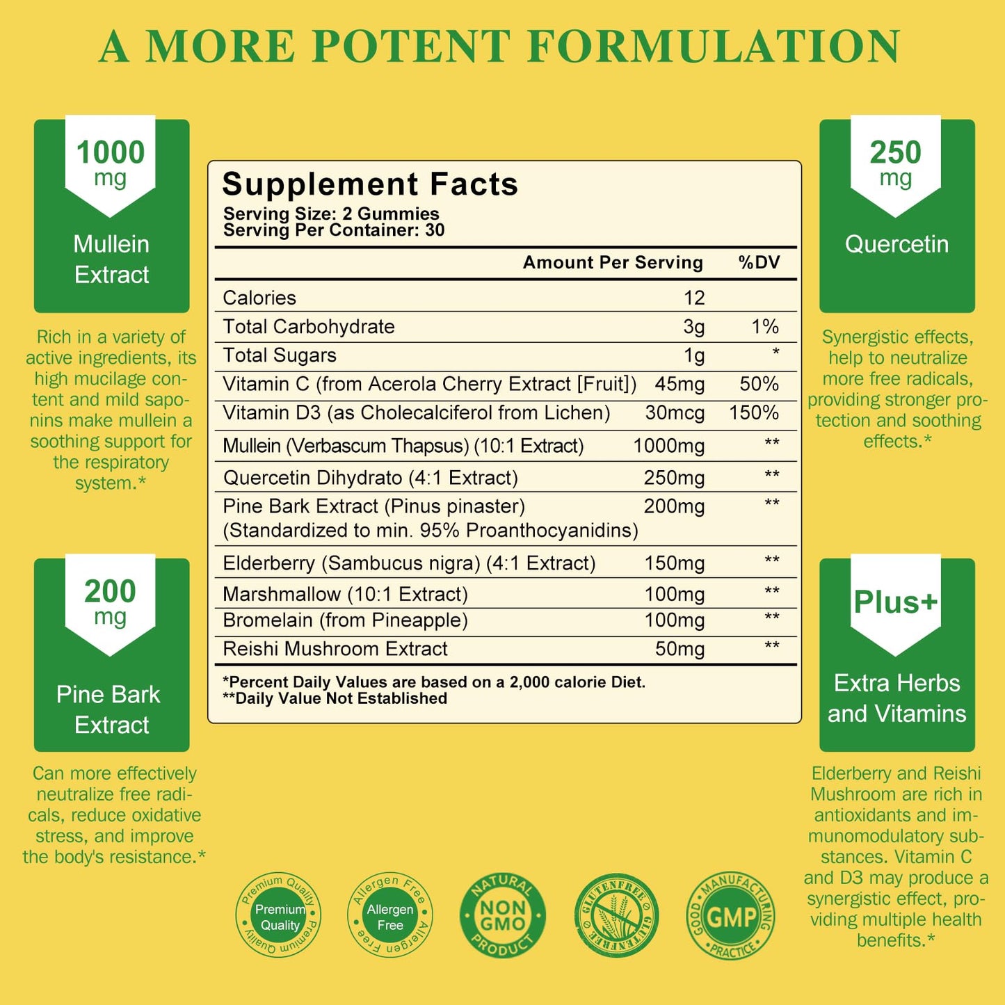 2-Pack 9-in-1 Mullein Gummies for Lung Cleanse & Immunity – Extra Strength, Vegan, 120 Count