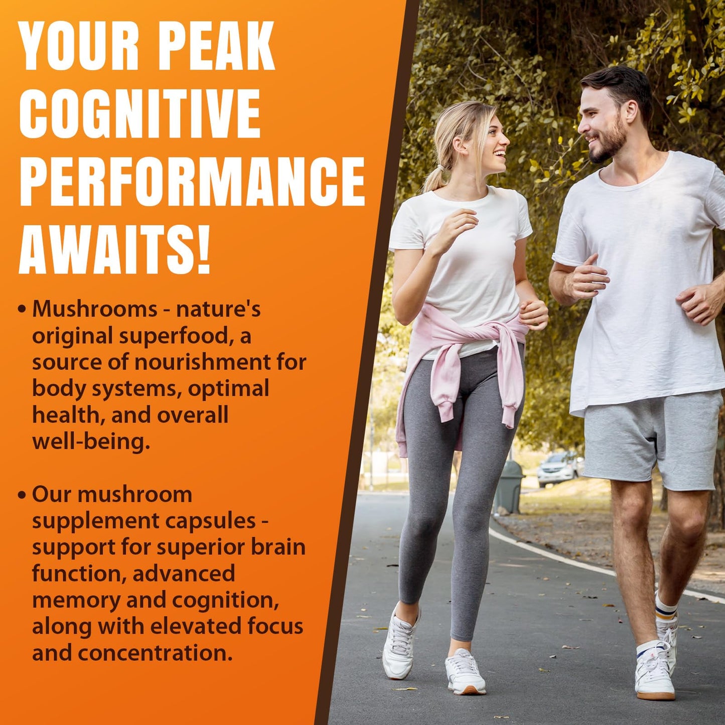 20-in-1 Mushroom Complex for Brain & Focus | Lion's Mane & Reishi