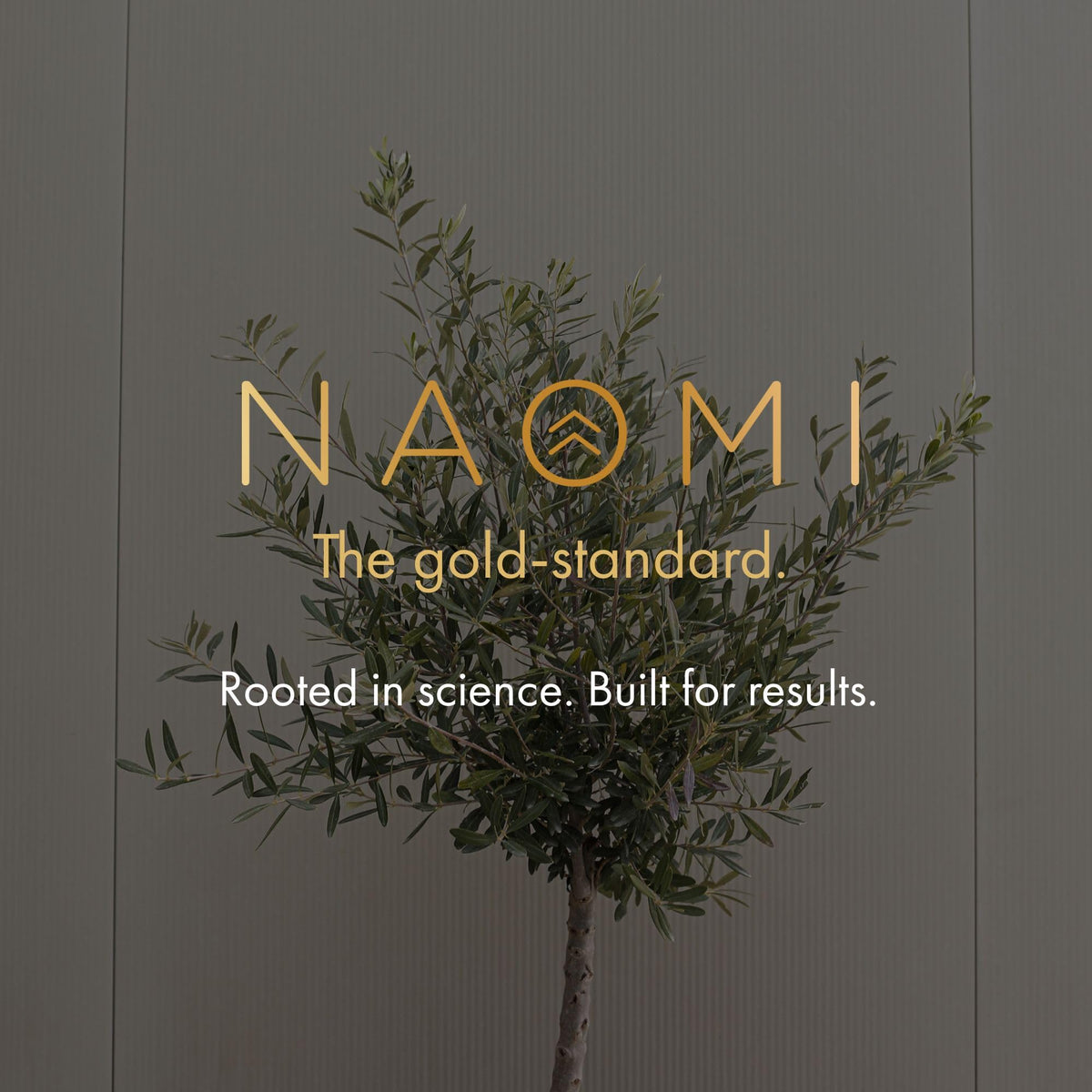 NAOMI BP Advanced: 1000mg Olive Leaf Extract + 180mcg Vitamin K2 | Cardiovascular Support BritishVita | Premium UK Vitamins & Wellness Supplements