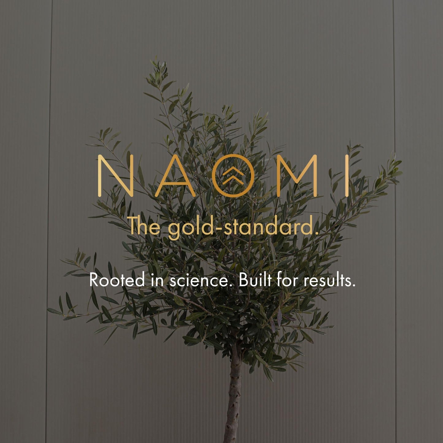 NAOMI BP Advanced: 1000mg Olive Leaf Extract + 180mcg Vitamin K2 | Cardiovascular Support