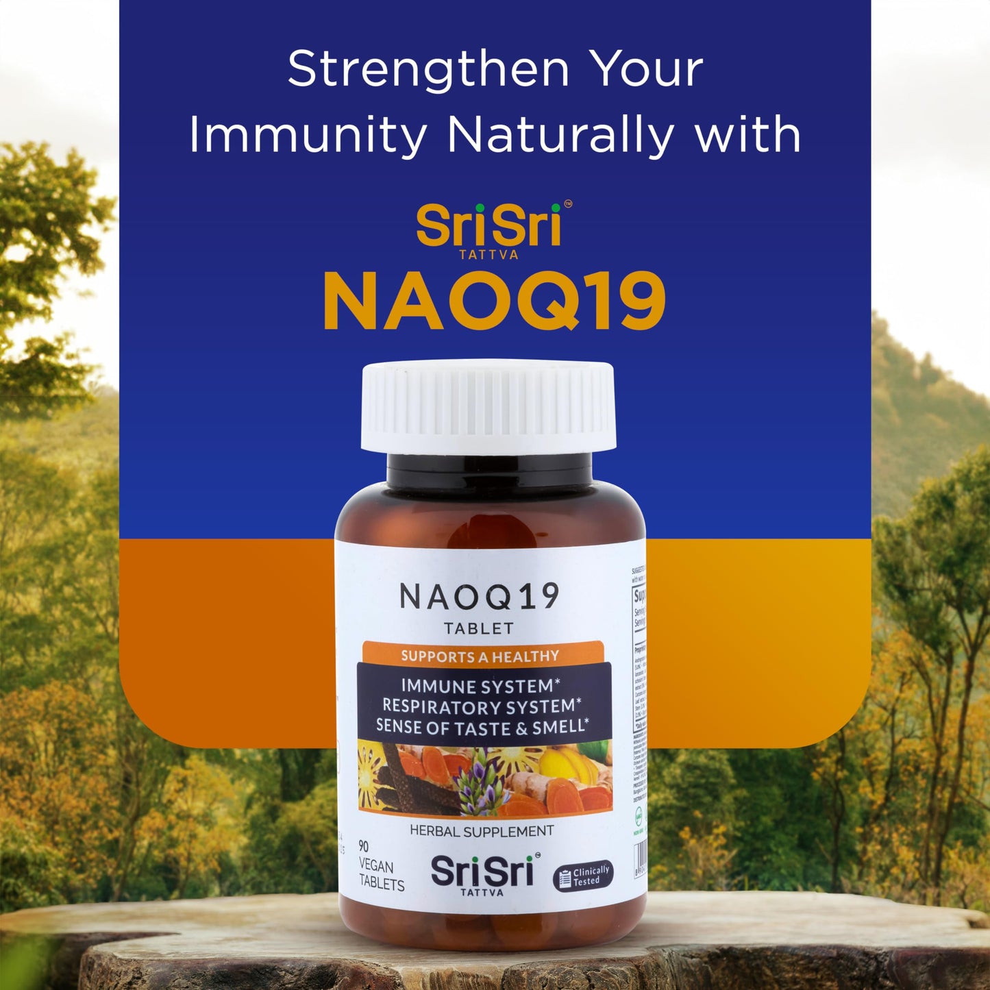 NAOQ19 Immunity Support – 19-Herb Ayurvedic Formula | Sri Sri Tattva | 90 Capsules