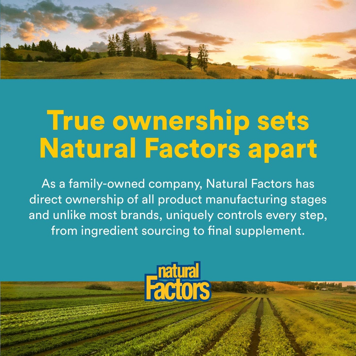 Natural Factors Alpha-Lipoic Acid + B 600 mg – 60 Capsules | Antioxidant Support