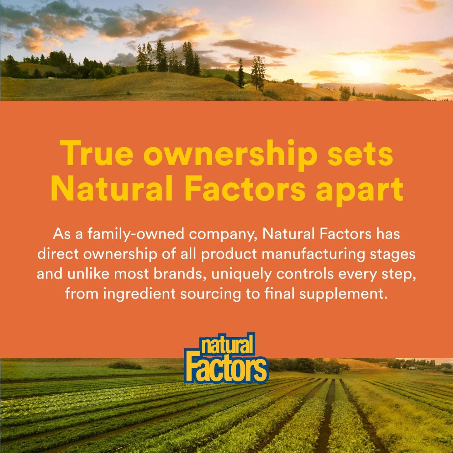 Natural Factors Total Body Collagen Bioactive Peptides Powder – Orange | Skin, Hair & Joint Support