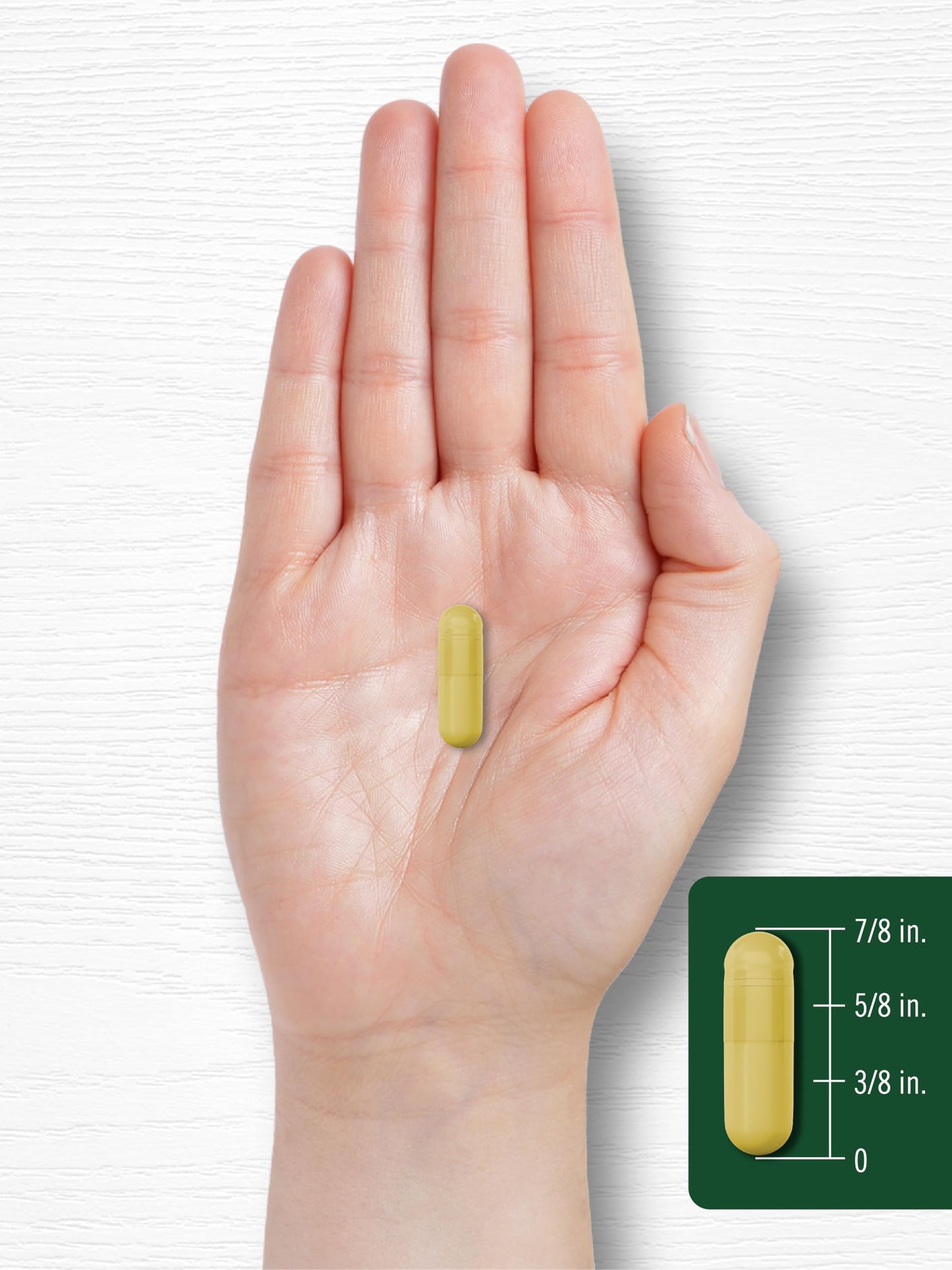 Carlyle Berberine HCL Supplement | 500,000mcg | 60 Capsules | Vegetarian, Non-GMO, Gluten Free