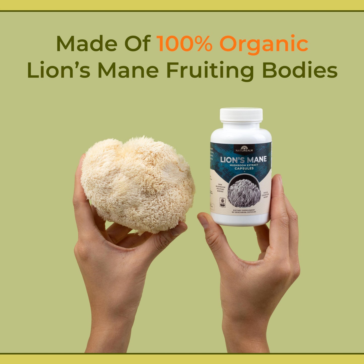 Naturealm Lions Mane Mushroom Supplement – Organic Brain Support, Focus & Memory | 90 Vegetarian Capsules